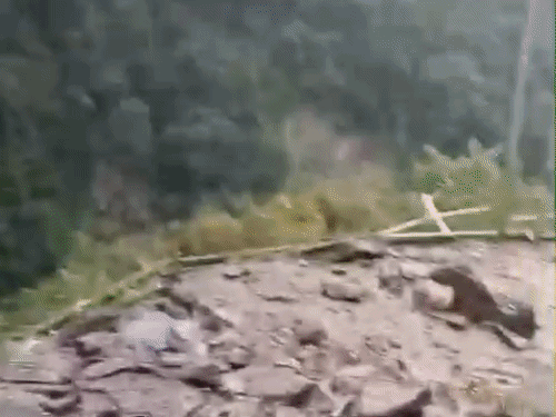 केदारनाथ पैदल मार्ग पर फटा बादल, चिरबासा में भारी भूस्खलन से रास्ता बाधित